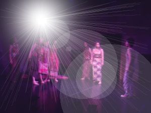 QlP